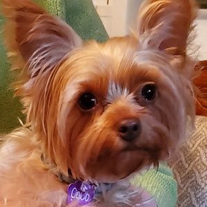 Meet your Posher, Lisa